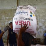 Pupuk Subsidi: Harga Dijamin Stabil Walau Selat Hormuz Terblokir